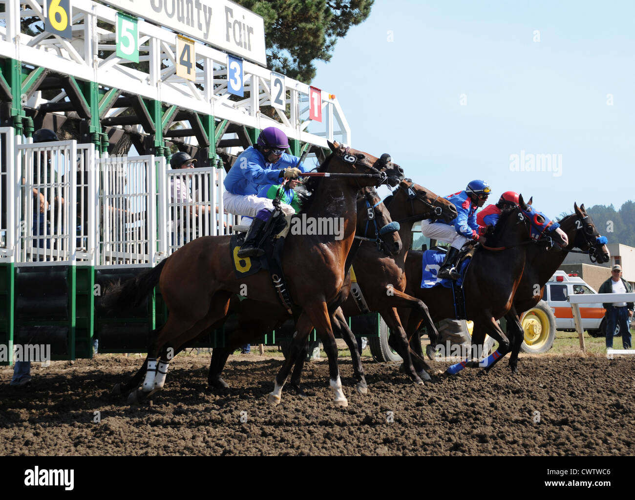 Pferde brechen aus den Startlöchern an Humboldt County Fairgrounds in Ferndale, Kalifornien Stockfoto