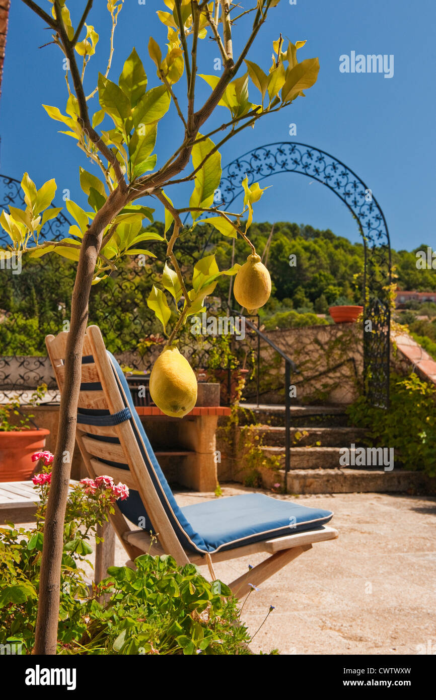 Bild von einem kleinen Zitronenbaum mit Zitronen und ein Stuhl mit einem blauen Kissen auf der Terrasse einer französischen Villa an einem heißen sonnigen Tag Stockfoto