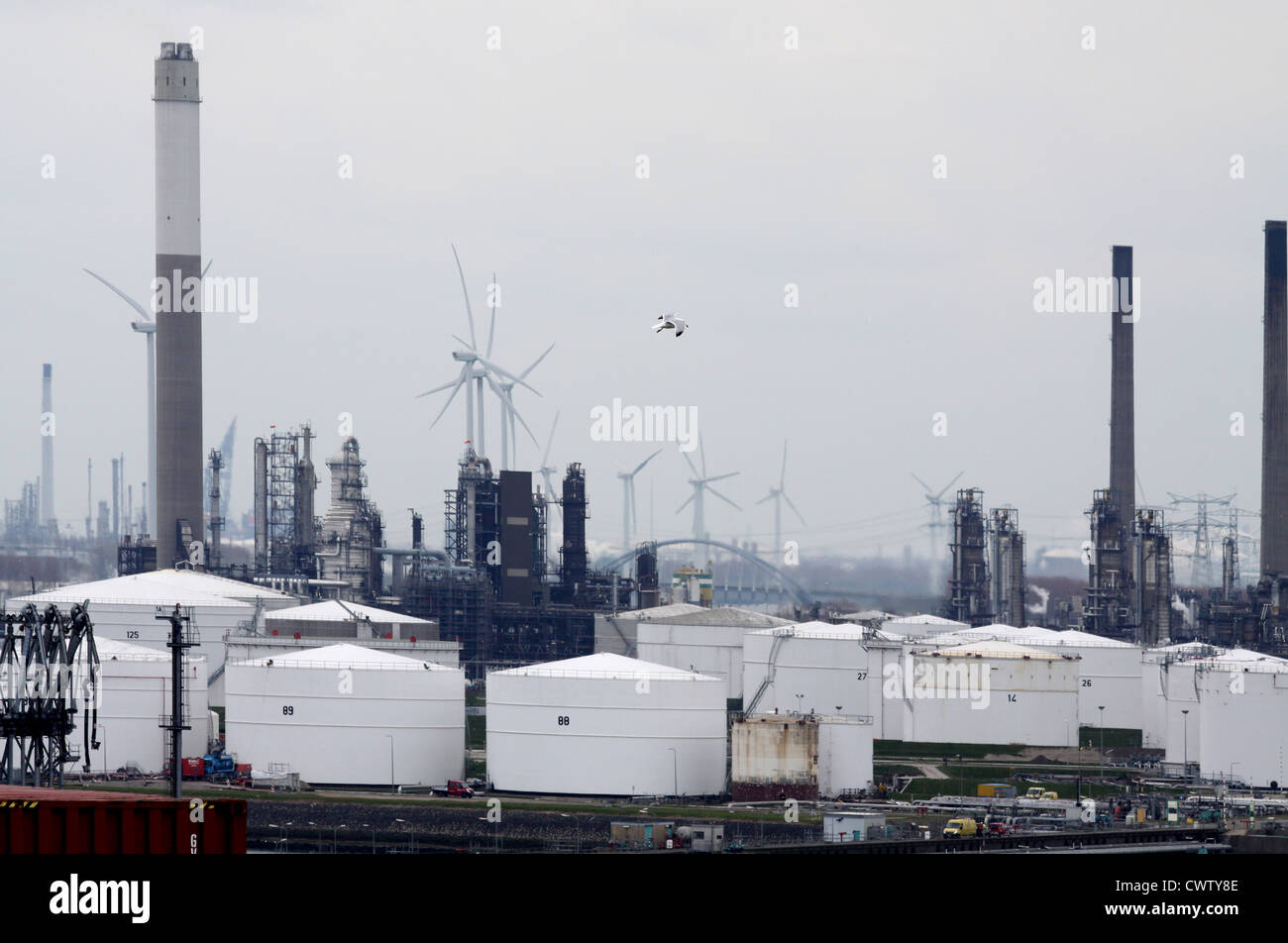 Eine einsame Möwe fliegt über einen düsteren Industrielandschaft, Hafen von Rotterdam Stockfoto