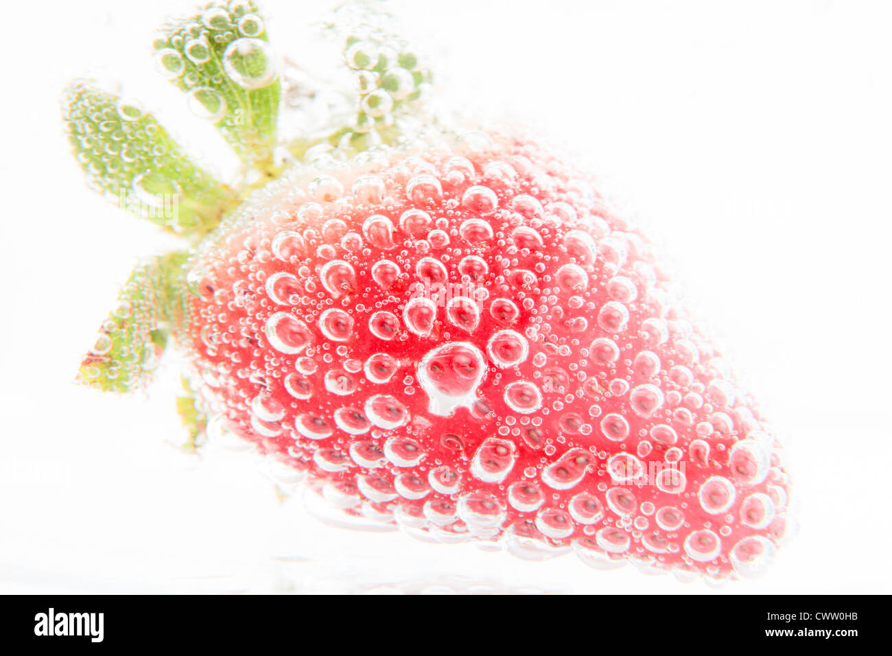 Erdbeere in Wasser mit Kohlensäure Stockfoto