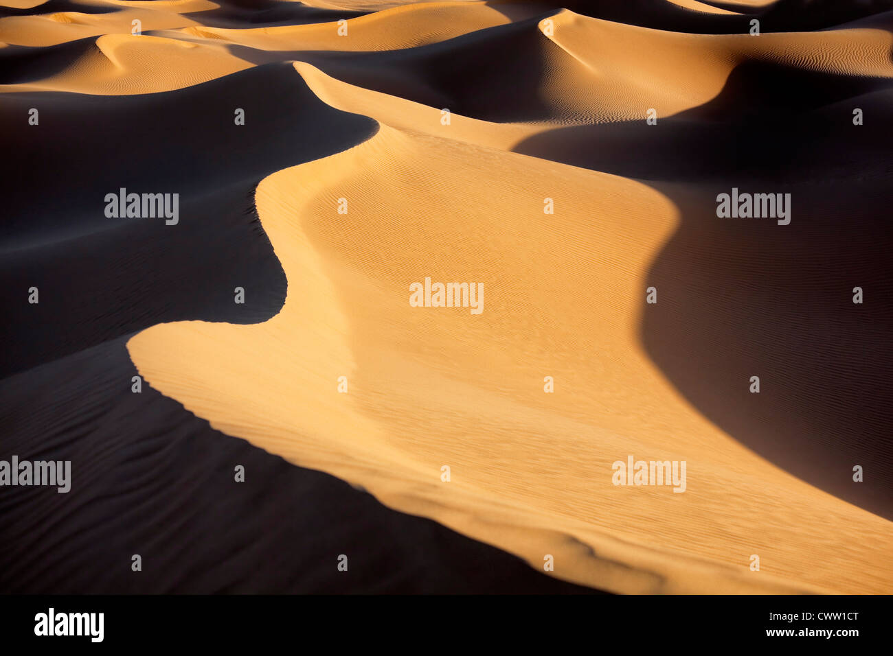 Bild von Sanddünen in der Sahara Wüste von Marokko. Stockfoto