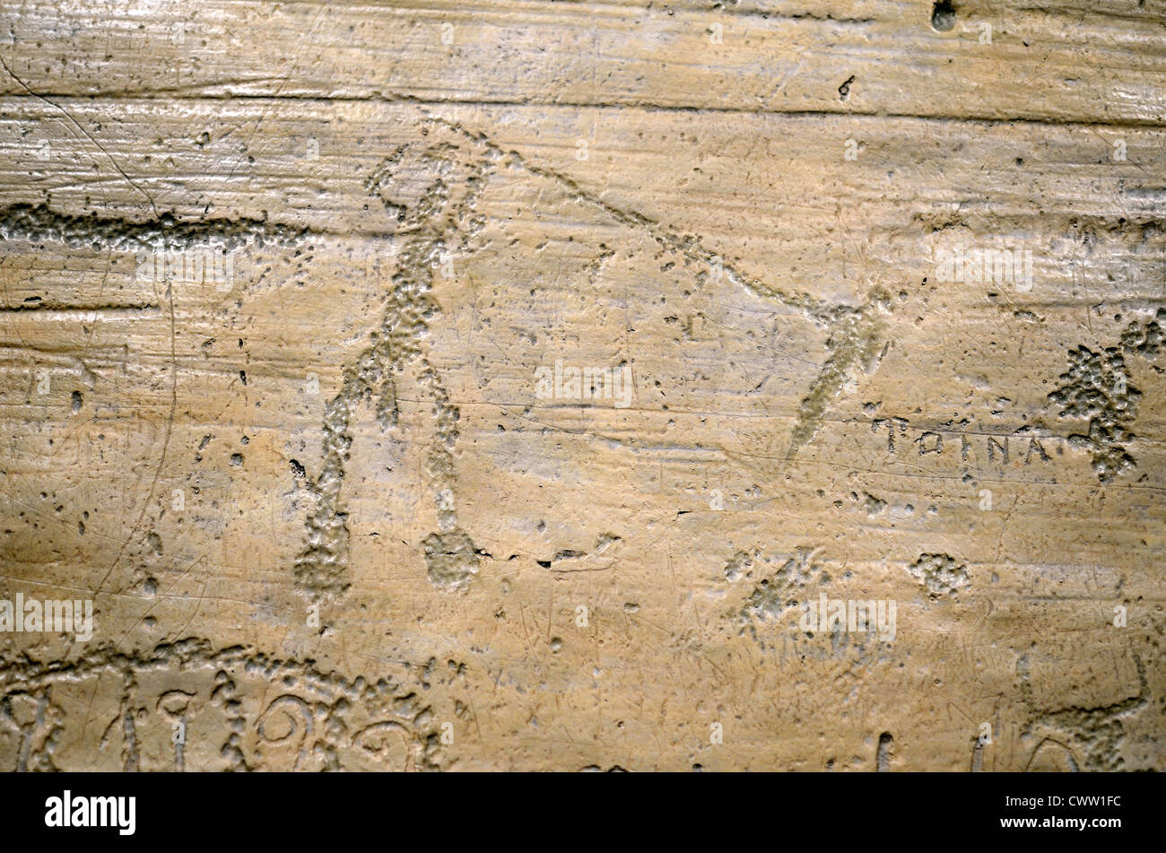 Steinbildhauerei aus der Bronzezeit Gravur oder Petroglyphe der Figur mit der Hellebardenwaffe im Vallée des Merveilles Mercantour Nationalpark Frankreich Stockfoto