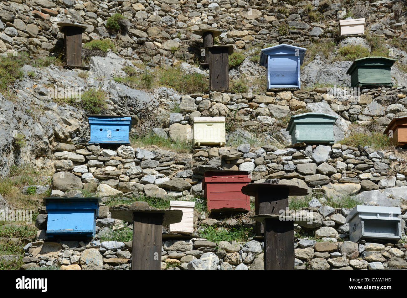 Walled Apiary oder Bienenhof mit Sammlung von verschiedenen Bienenstöcken in La Brigue Roya Valley Alpes-Maritimes Frankreich Stockfoto