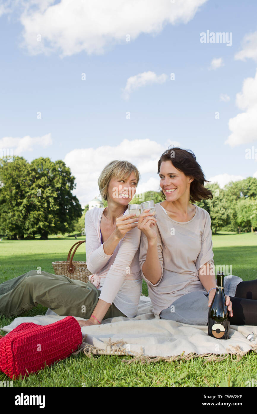 Frauen trinken Champagner Picknick Stockfoto