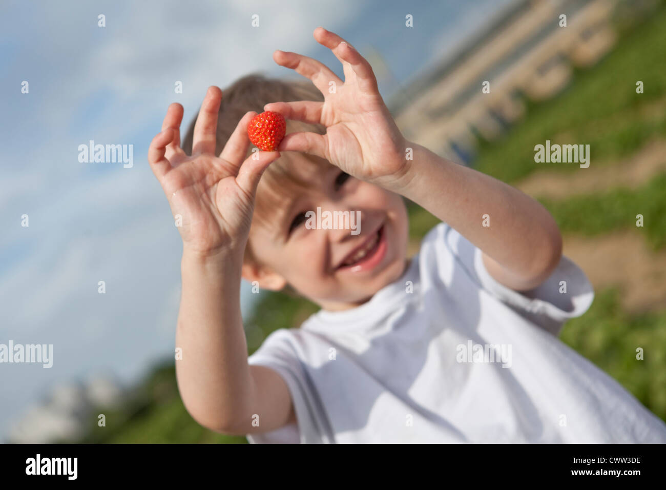 Fröhlicher Junge halten Erdbeer Stockfoto