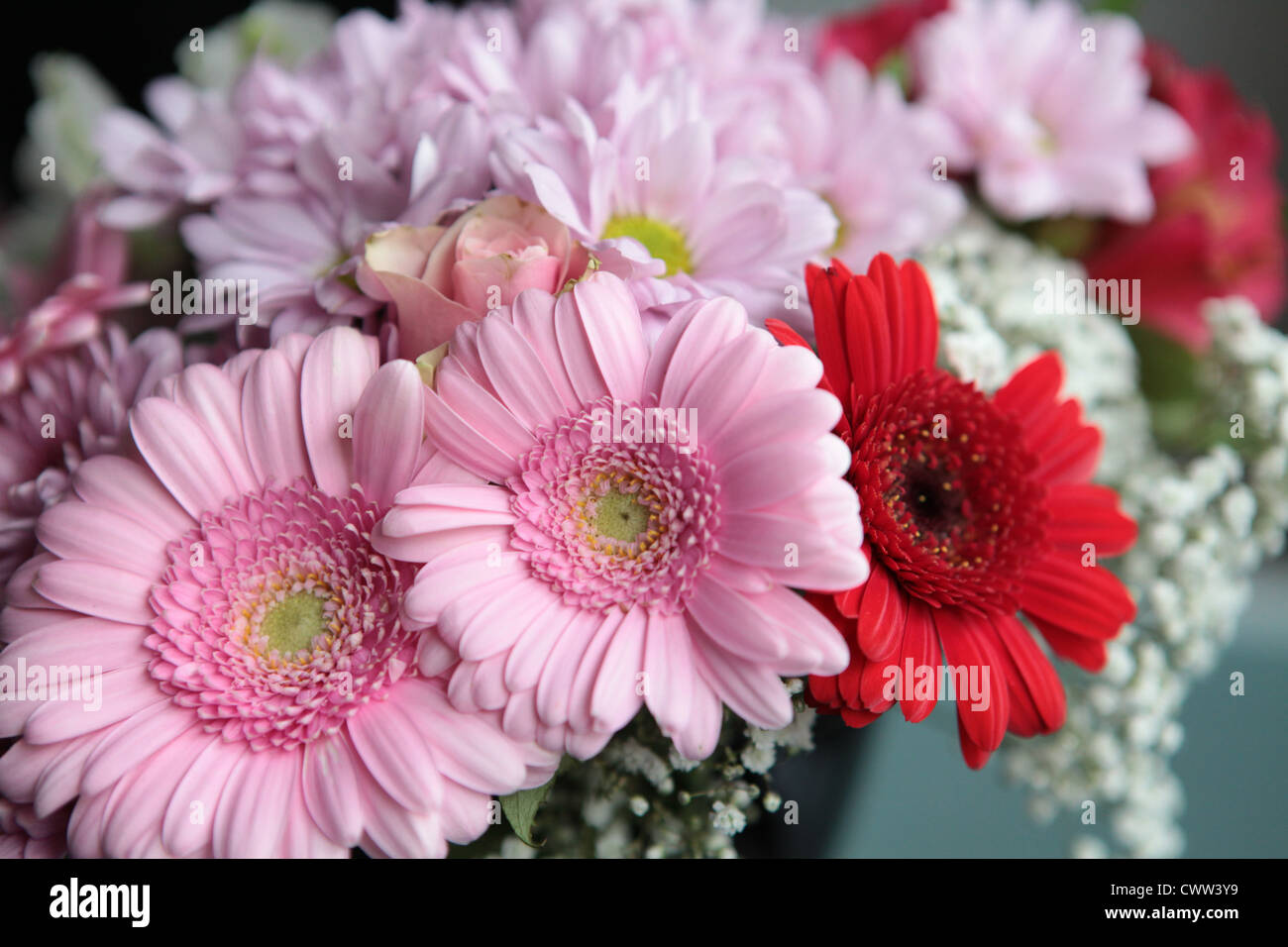 Rote und rosa Blumenstrauß im freien Stockfoto
