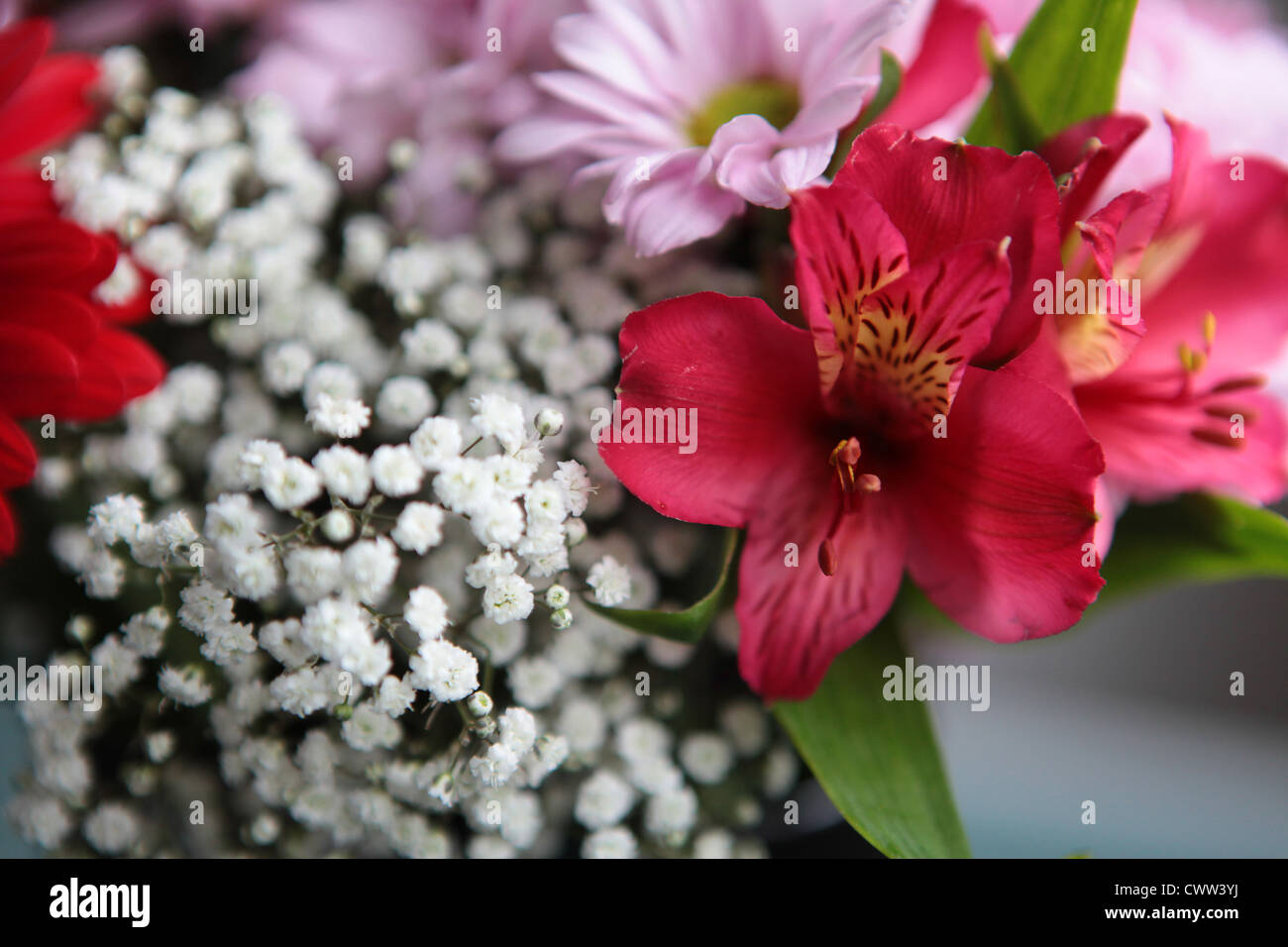 Bunter Blumenstrauß Stockfoto