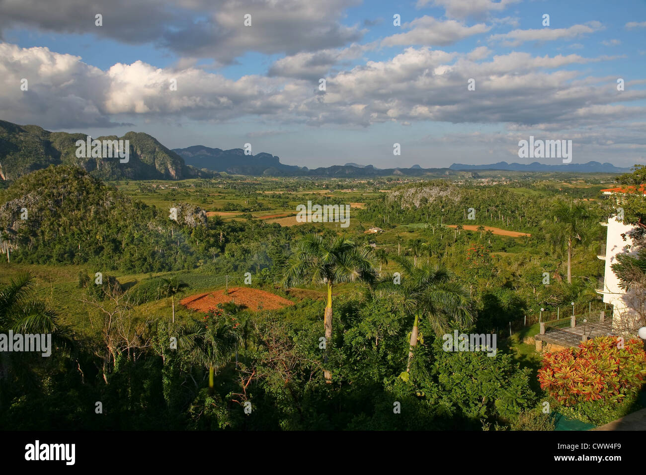 Alle de Vinales, Valle de Vieales Tal, Pinar Del Rio, Kuba Stockfoto