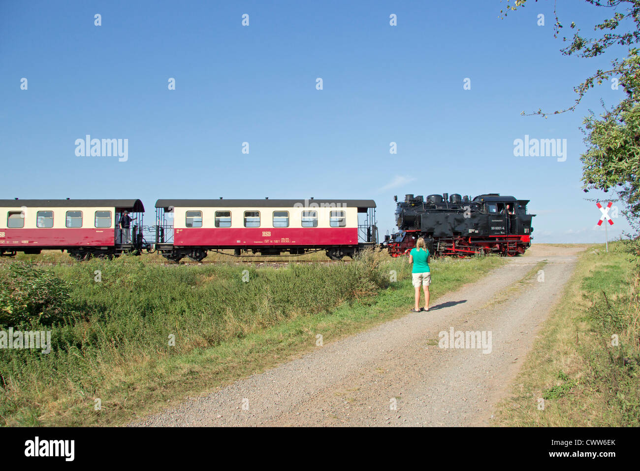 Dampfzug der Selketal-Bahn in der Nähe Quarmbeck, Sachsen-Anhalt, Deutschland Stockfoto