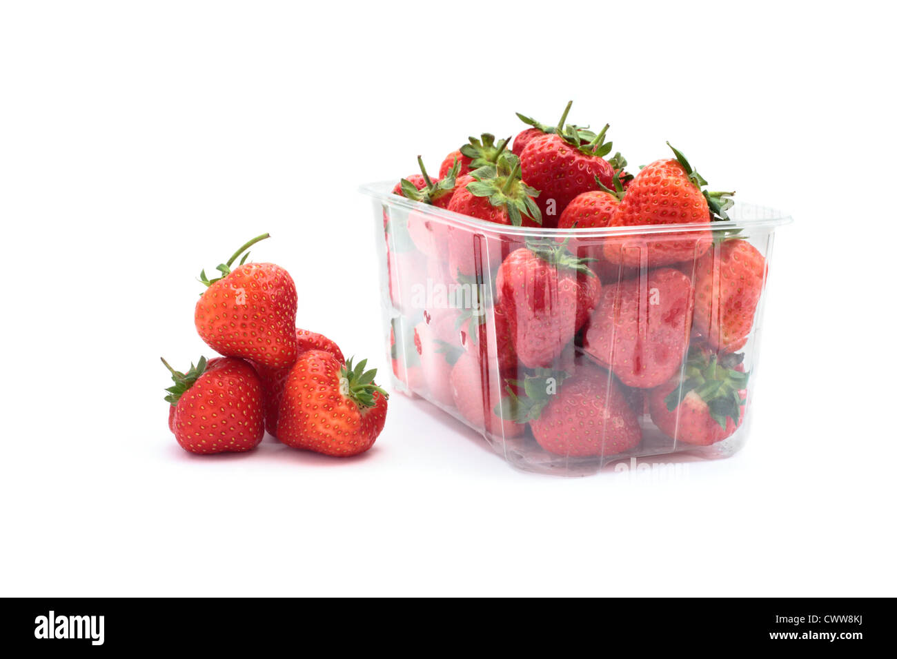 Erdbeeren mit einer Plastik Körbchen isoliert auf einem weißen Hintergrund. Stockfoto