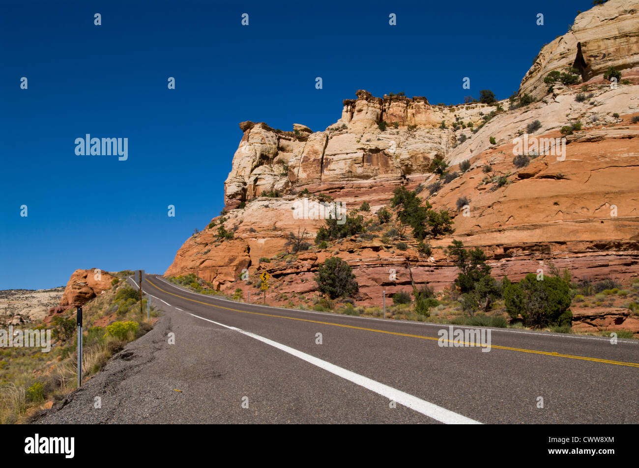 Leere Straße in Wade Creek Nationalpark Stockfoto
