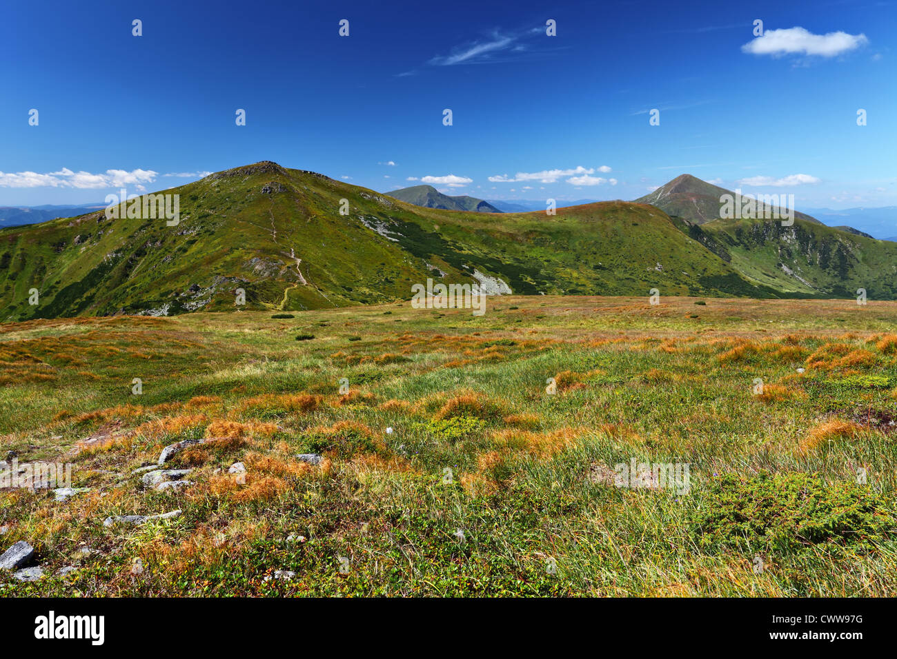 Gras- und grünen Hügeln am blauen Himmelshintergrund Stockfoto
