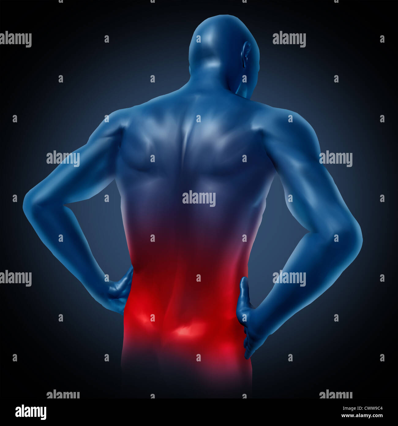 Im unteren Rückenbereich durch einen menschlichen Körper mit Dorsalgia Krankheit chronischen Wirbelsäulen medizinische Symptome zeigen rot hervorgehoben dargestellt th Stockfoto