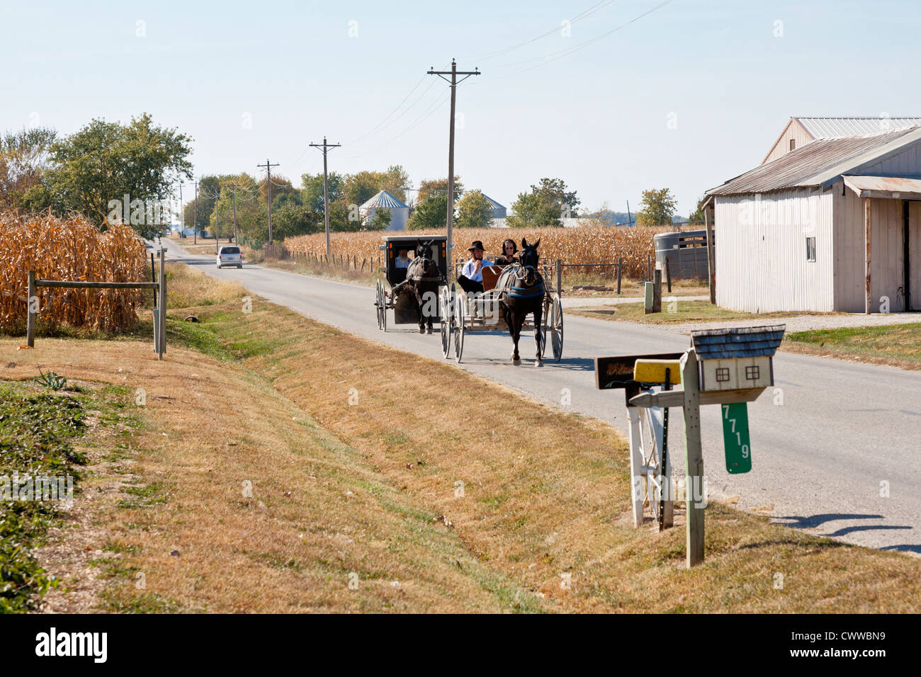 Amische Familien fahren ihr Pferd und Wagen auf Landstraße in der Nähe von Montgomery, Indiana Stockfoto