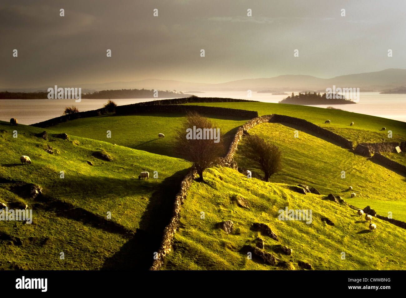 Wände aus Stein auf grasbewachsenen ländlichen Hügel Stockfoto