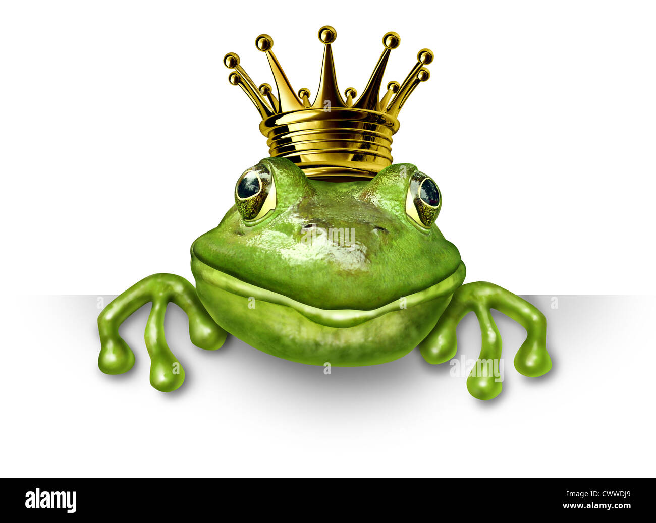 Froschkönig mit kleinen goldenen Krone mit einem leeren Schild stellvertretend für das Märchen-Konzept der Veränderung und Transformation von einer Stockfoto
