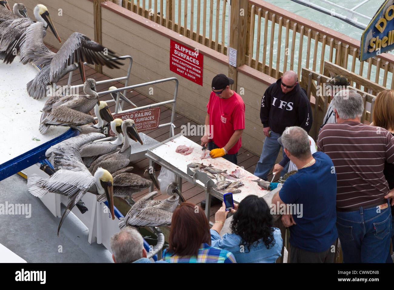 Tiefsee-Fischerboot hand Reinigung Fisch auf dem Pier am John's Pass in Madeira Beach, Florida Stockfoto Tiefsee-Fischerboot hand Reinigung Fisch auf dem Pier am John's Pass in Madeira Beach, Florida Stockfoto