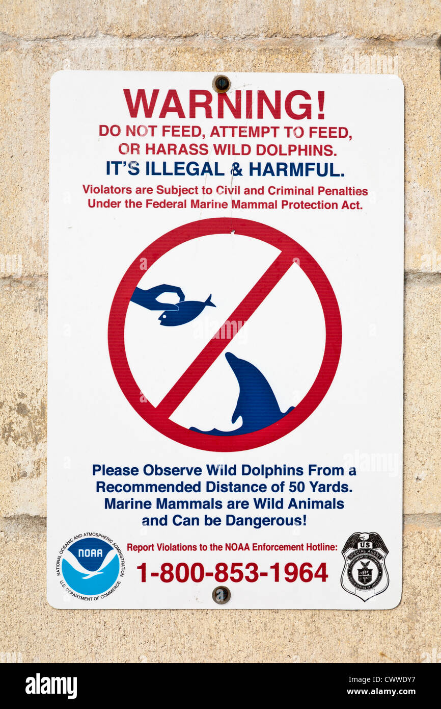 Sign warnt vor Strafen für die Fütterung wilder Delfine nach dem Federal Marine Mammal Protection Act Stockfoto