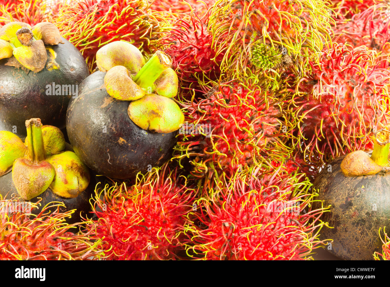 Rambutan und mangosteen Stockfoto