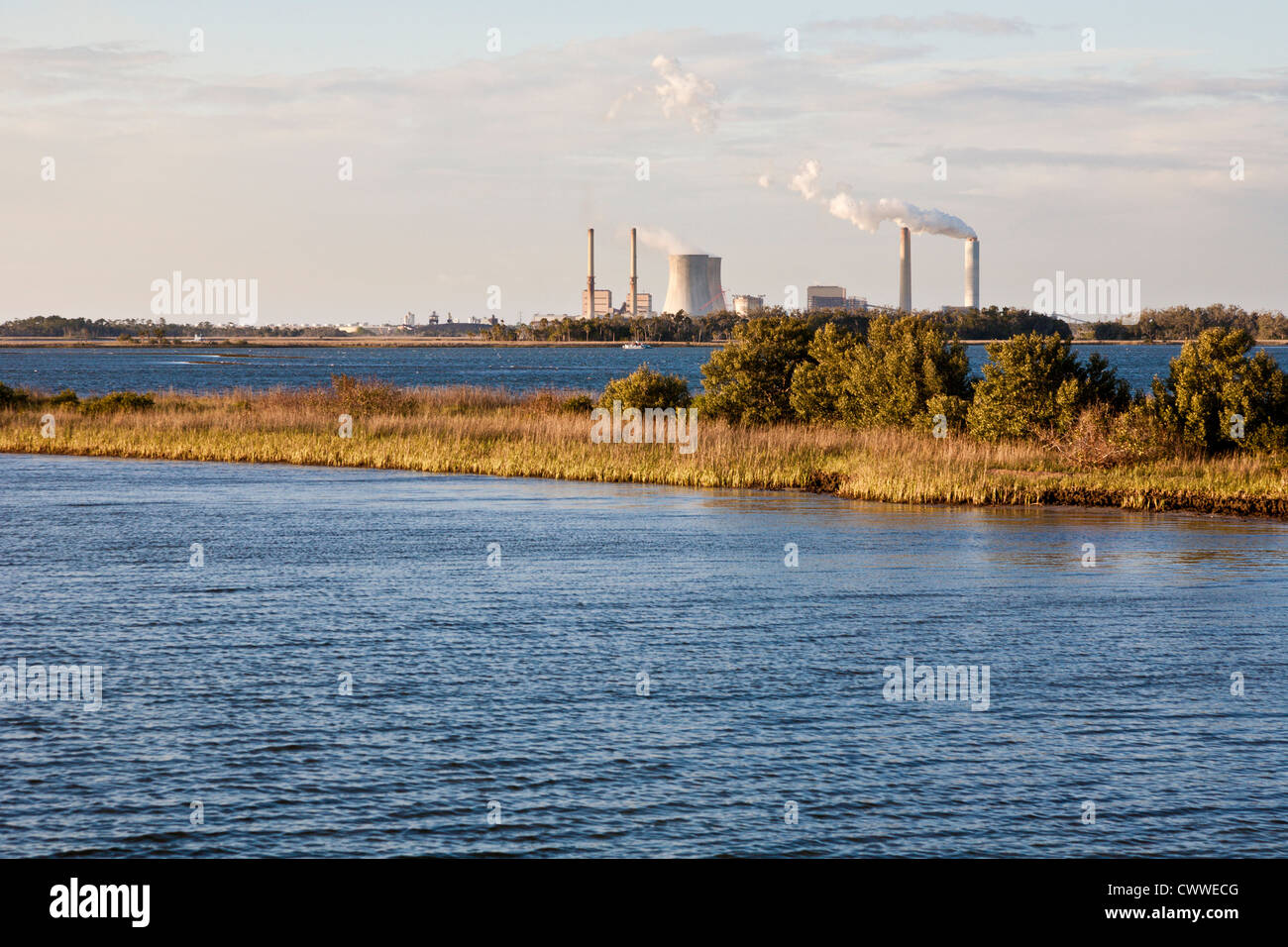 Crystal River Energy Complex mit vier Kohle angetrieben und eine nukleare powered Pflanzen in Crystal River, Florida Stockfoto