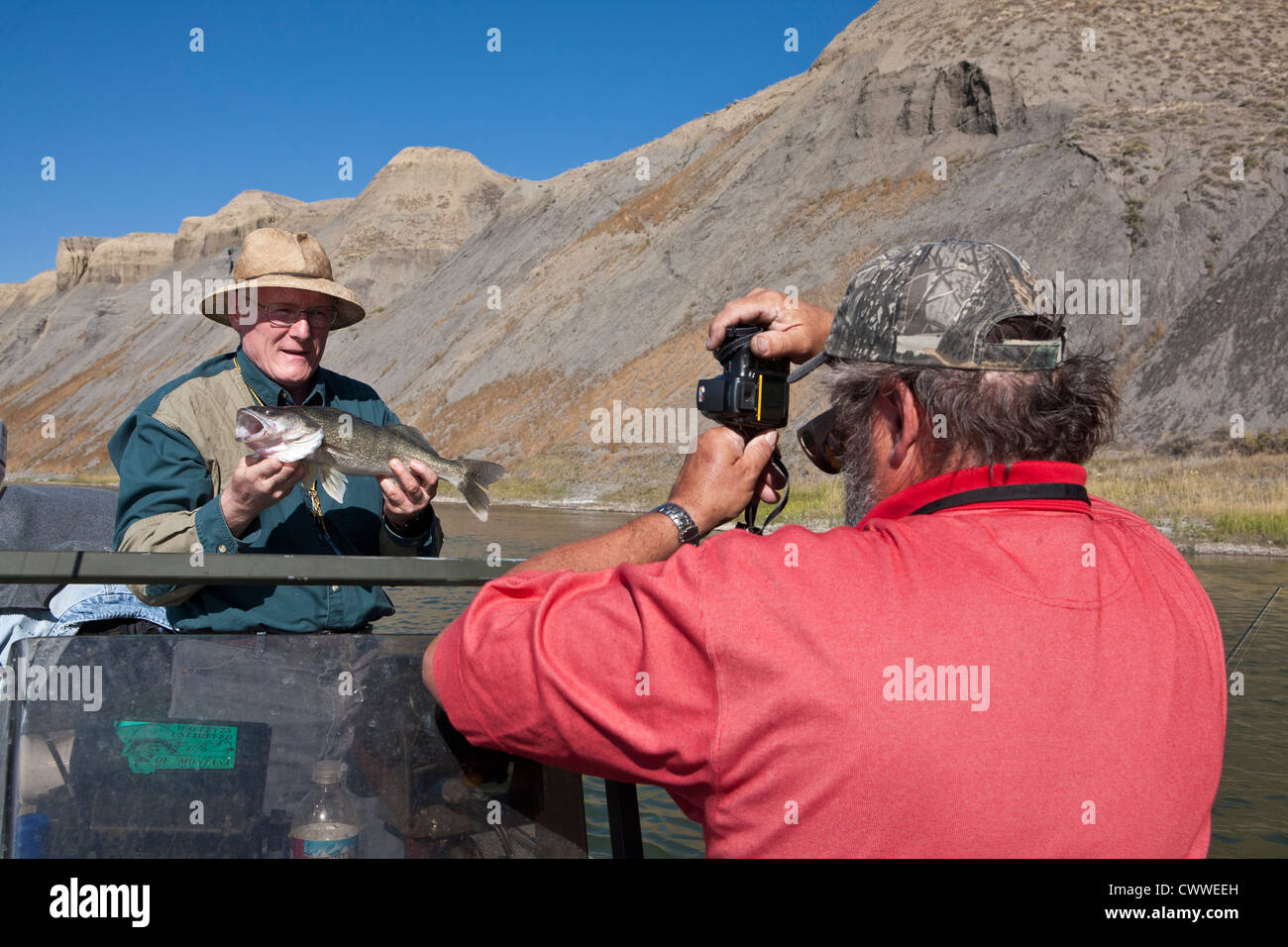 Guide führt ein Bild von seiner Fischer mit einer kleinen Zander (Sander gallertartige), Missouri Fluß, Mt. Stockfoto