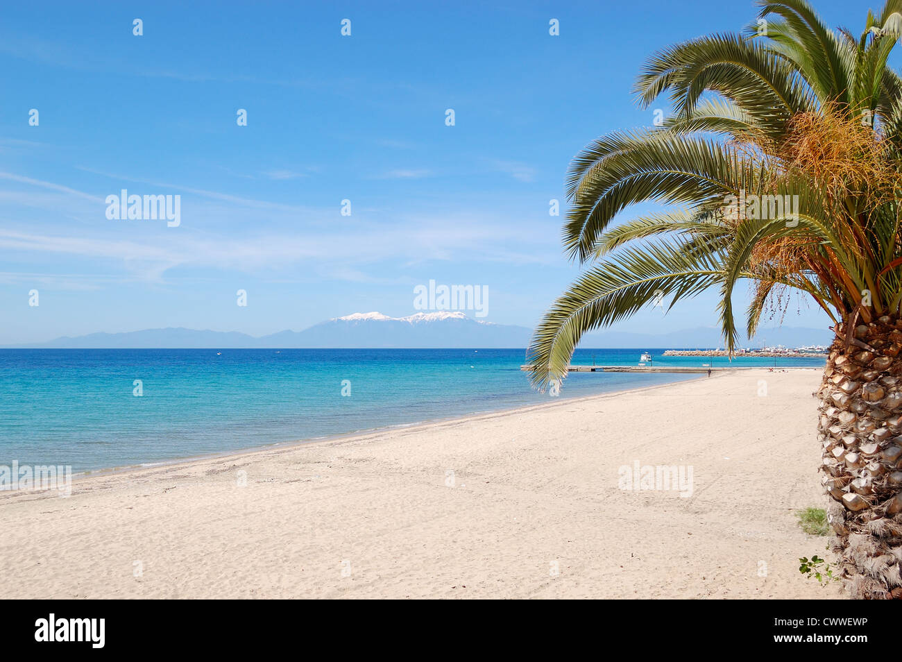 Strand mit Palme und Olymp auf Hintergrund, Chalkidiki, Griechenland Stockfoto