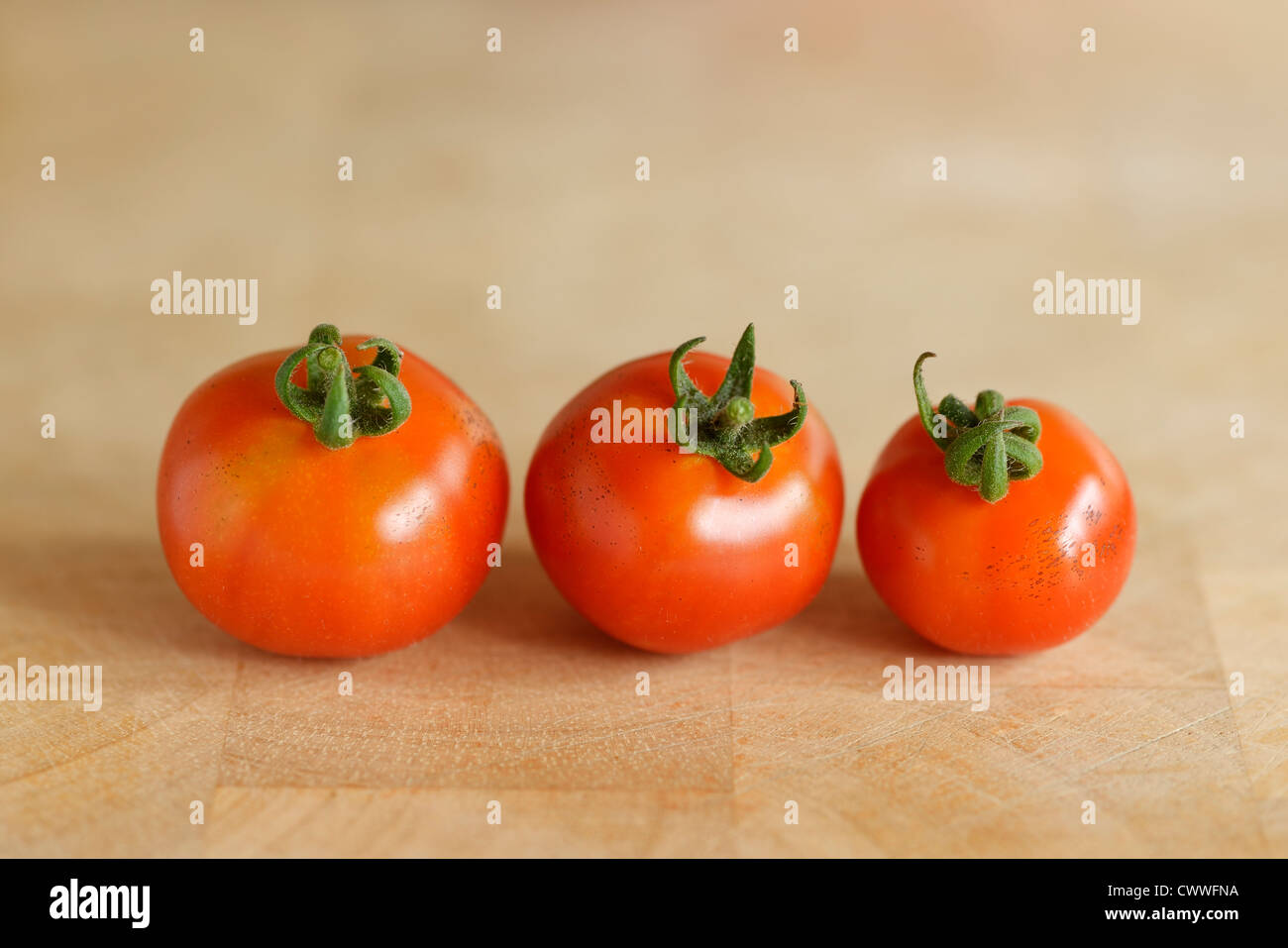 Drei Gärtner Freude Tomaten Stockfoto