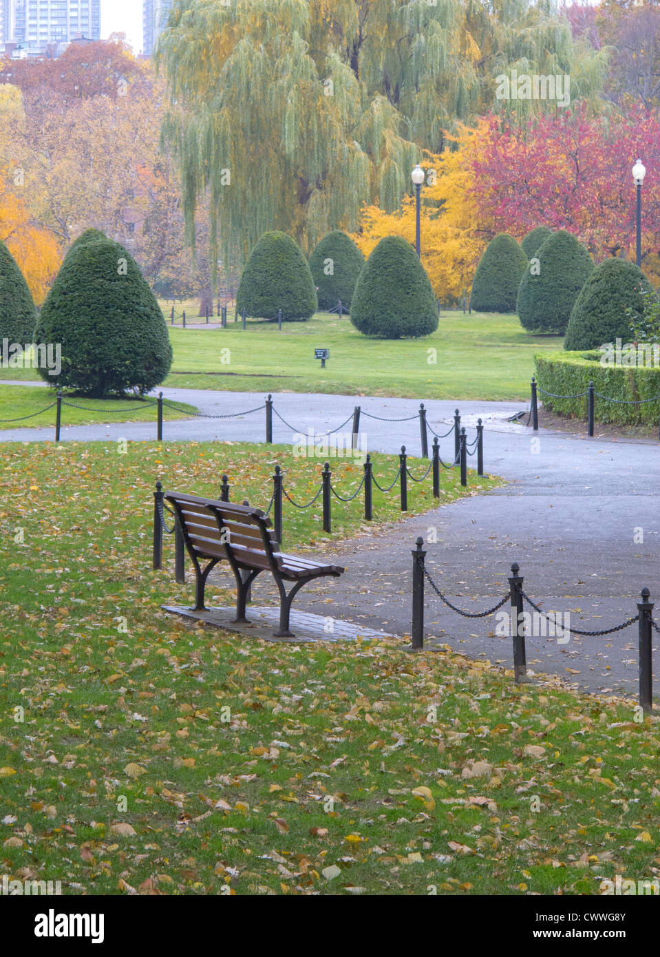 Boston public garden Stockfoto