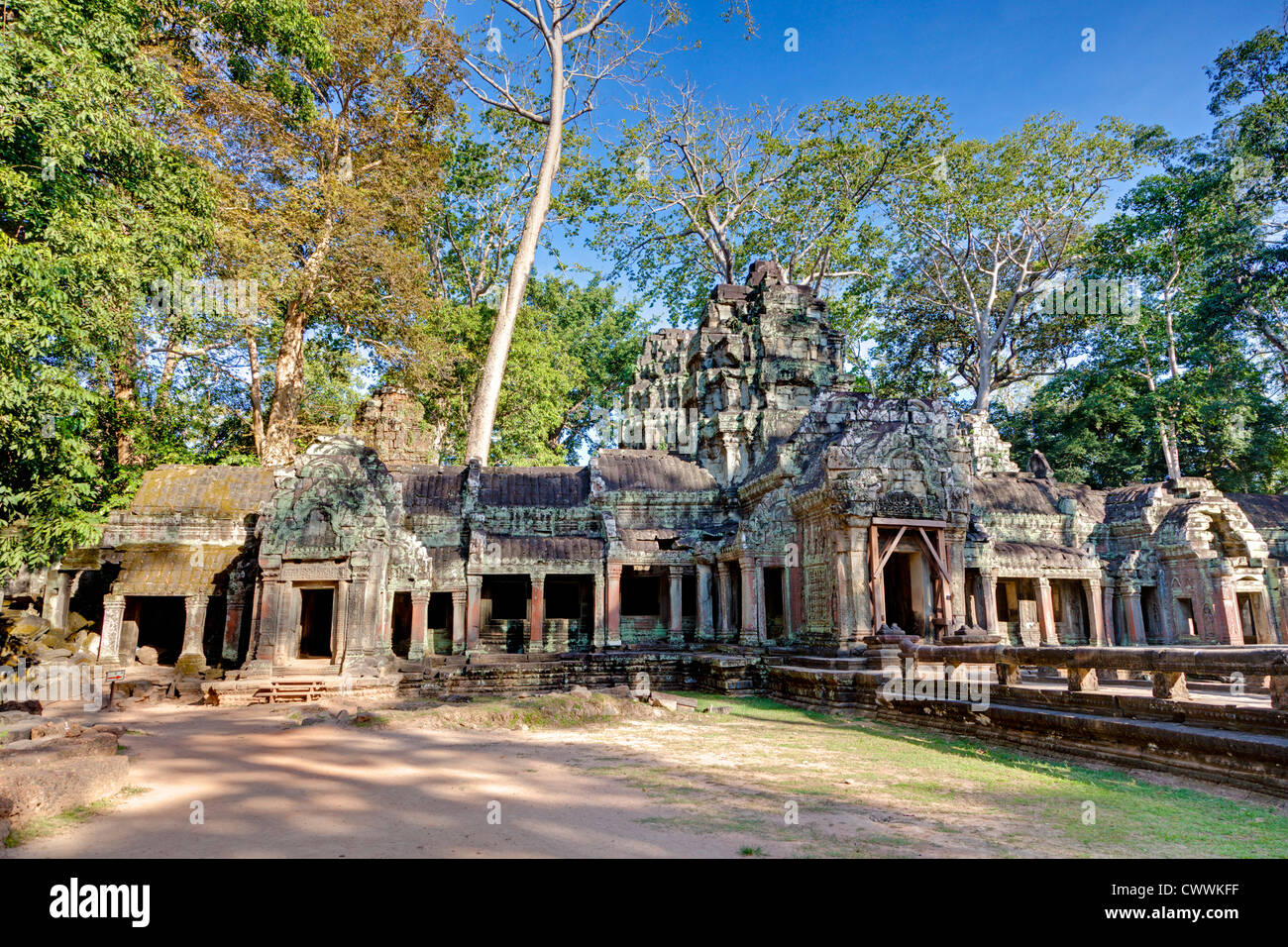 Ta Prohm Tempel in Kambodscha Stockfoto