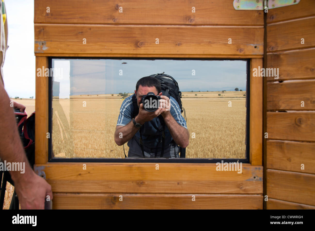 Vogel verstecken; Foto-Logistik; verspiegeltes Glas; Spanien; Sommer Stockfoto