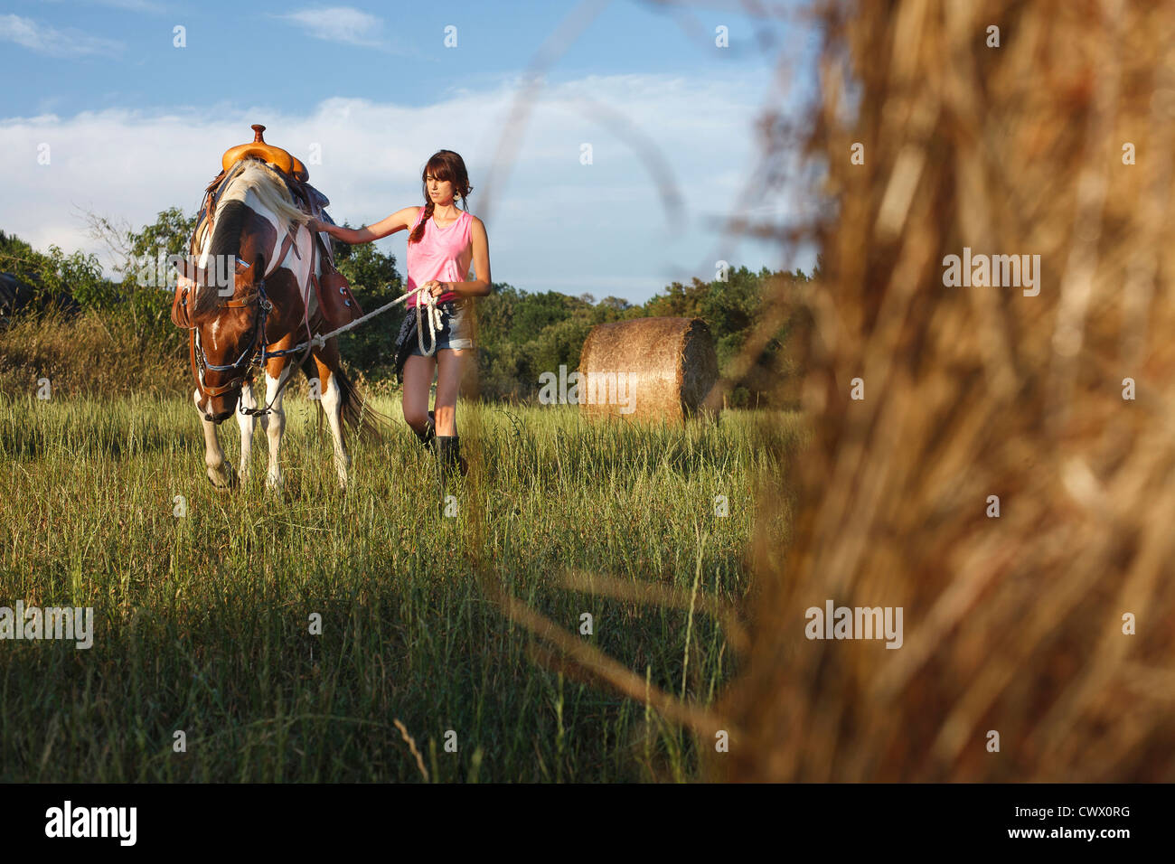 Frau Walking Horse in Wiese Stockfoto