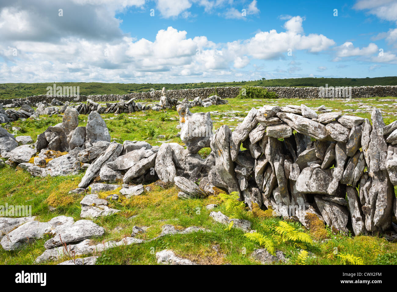 The Burren, Co. Clare, Irland. Stockfoto