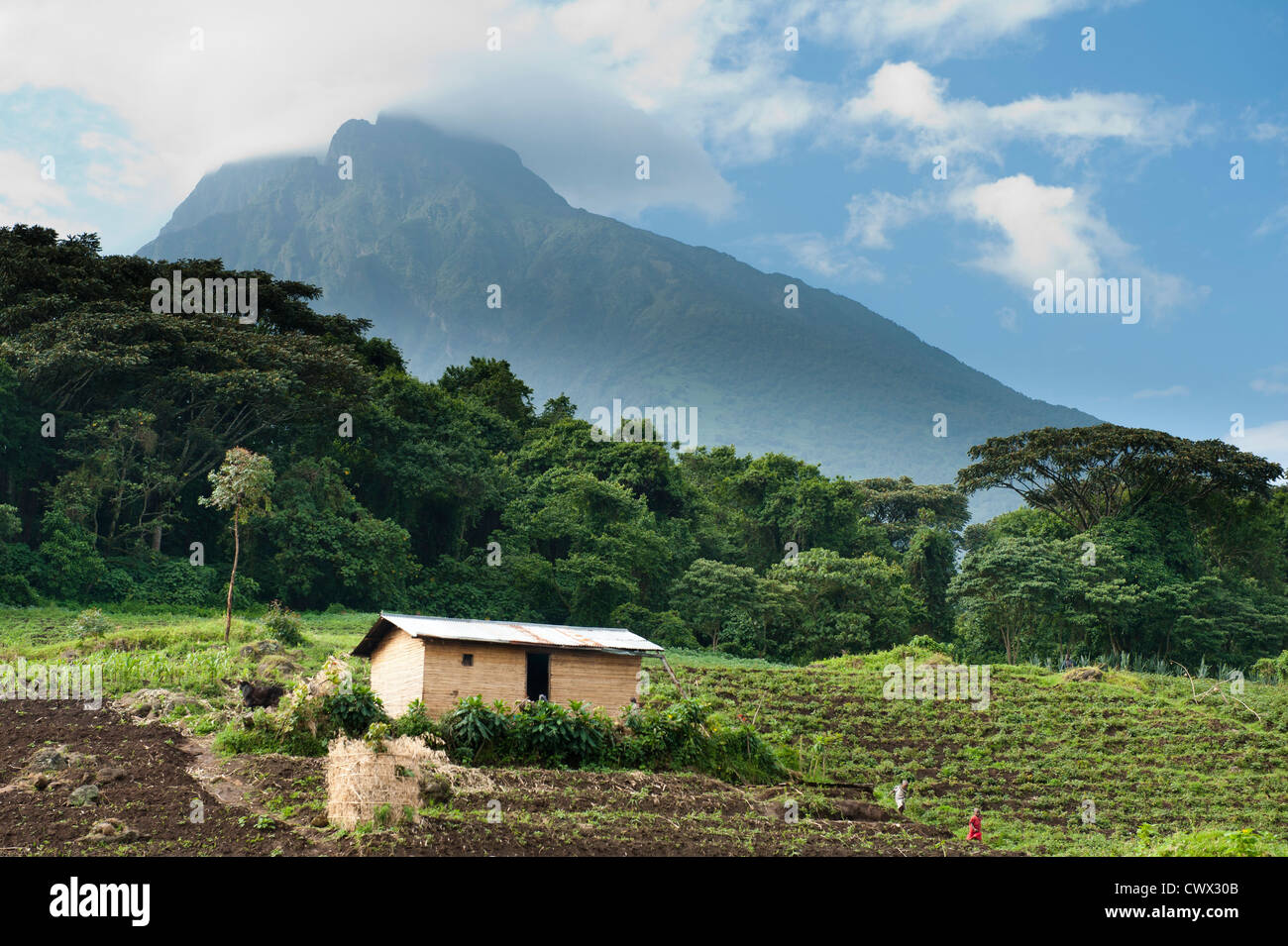 Höfe am Fuße des Vulkans Mount Mikeno, Virunga-Nationalpark, DR Congo Stockfoto