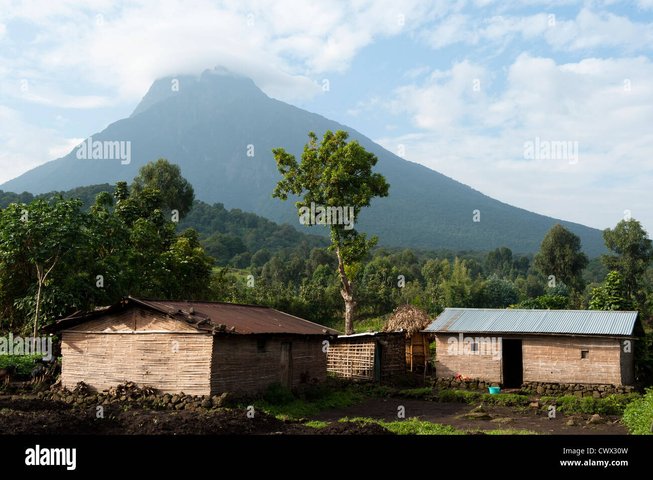 Höfe am Fuße des Vulkans Mount Mikeno, Virunga-Nationalpark, DR Congo Stockfoto