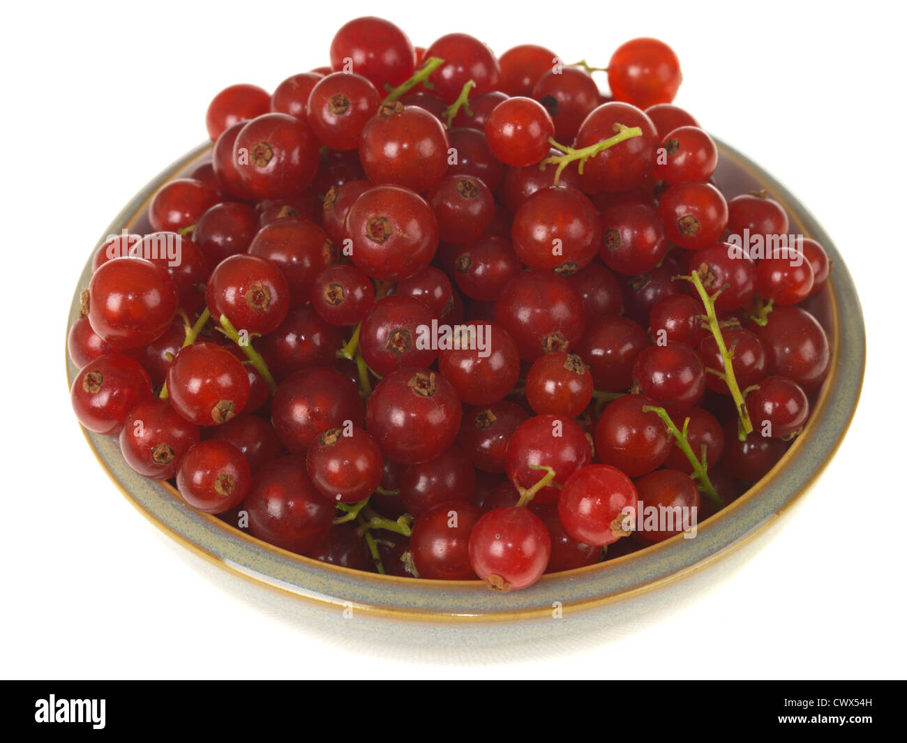 Rote Johannisbeeren Stockfoto