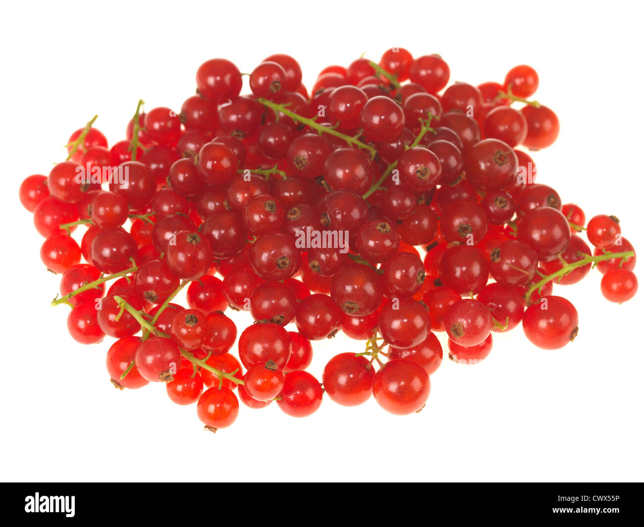 Rote Johannisbeeren Stockfoto