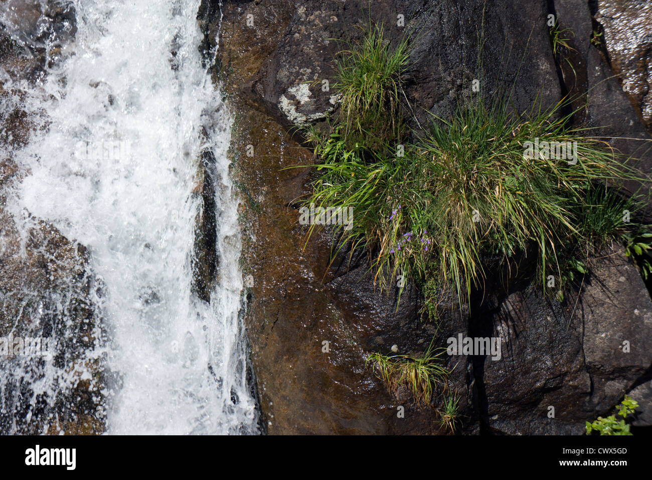 Wasserfall, Kaskaden, Pyrenäen, poring Wasser Stockfoto