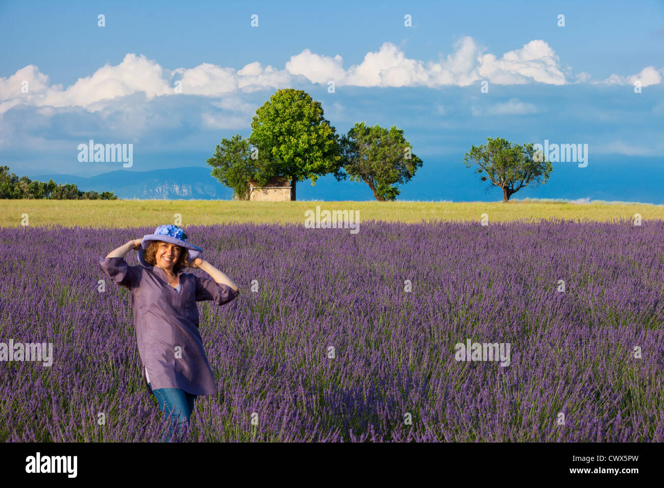 Frau posiert in Lavendelfeld in der Nähe von Valensole, Provence Frankreich Stockfoto