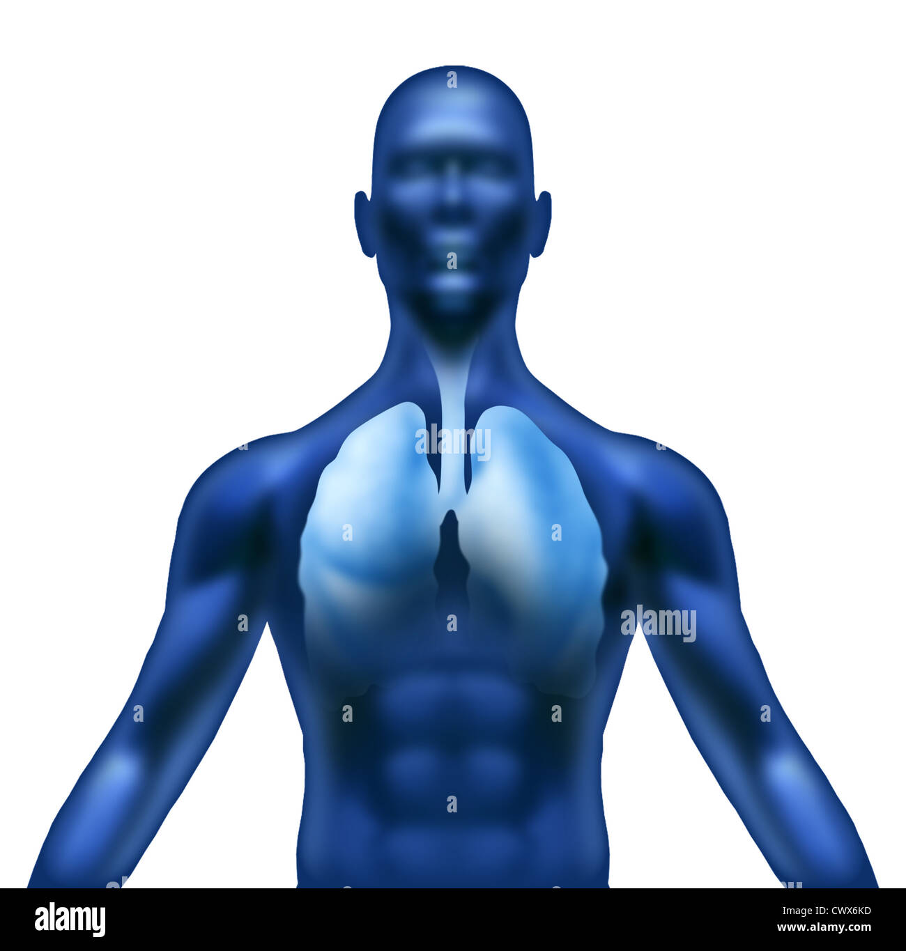 Kalte Grippe Husten Sinus und Staus Symptome medizinisches Symbol mit einem Menschen und Lunge überlastet mit Schleim und Krankheit Stockfoto