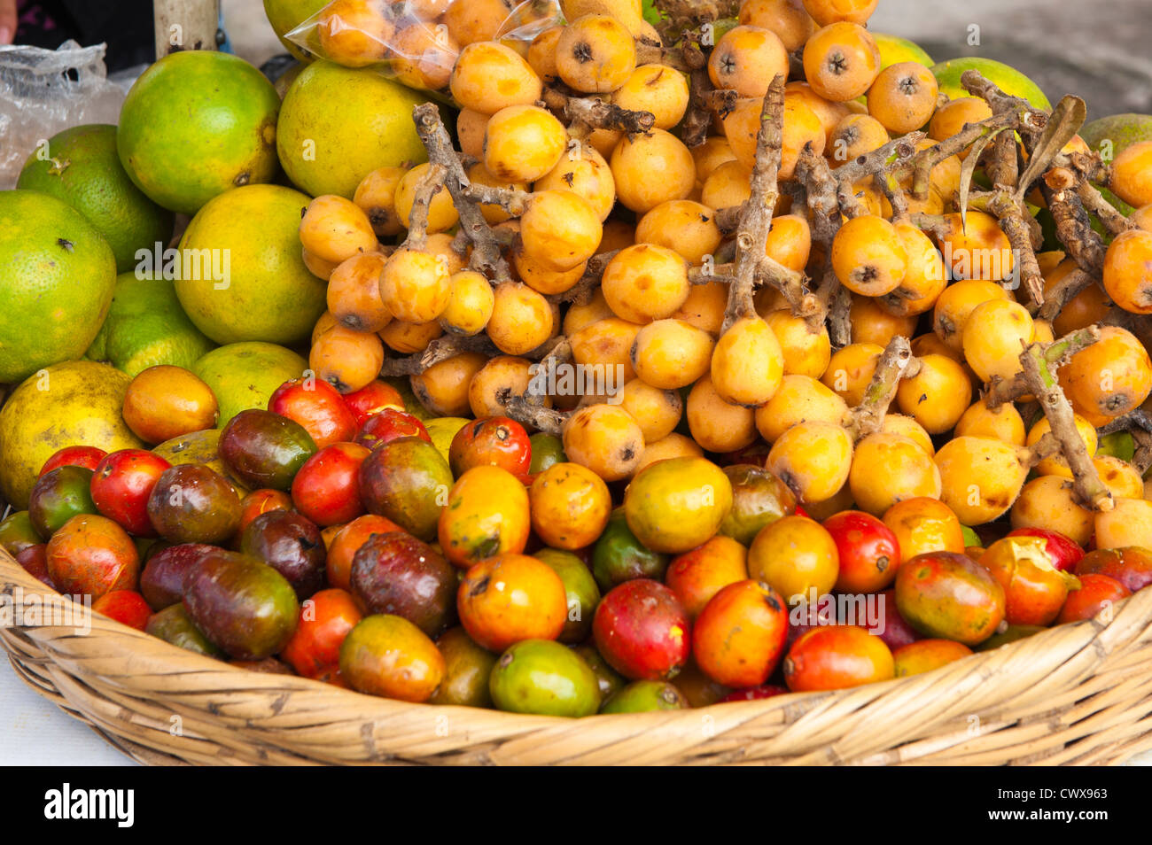 Antigua Guatemala. Verschiedene lokale Früchte in Antigua, Guatemala-Markt. Stockfoto