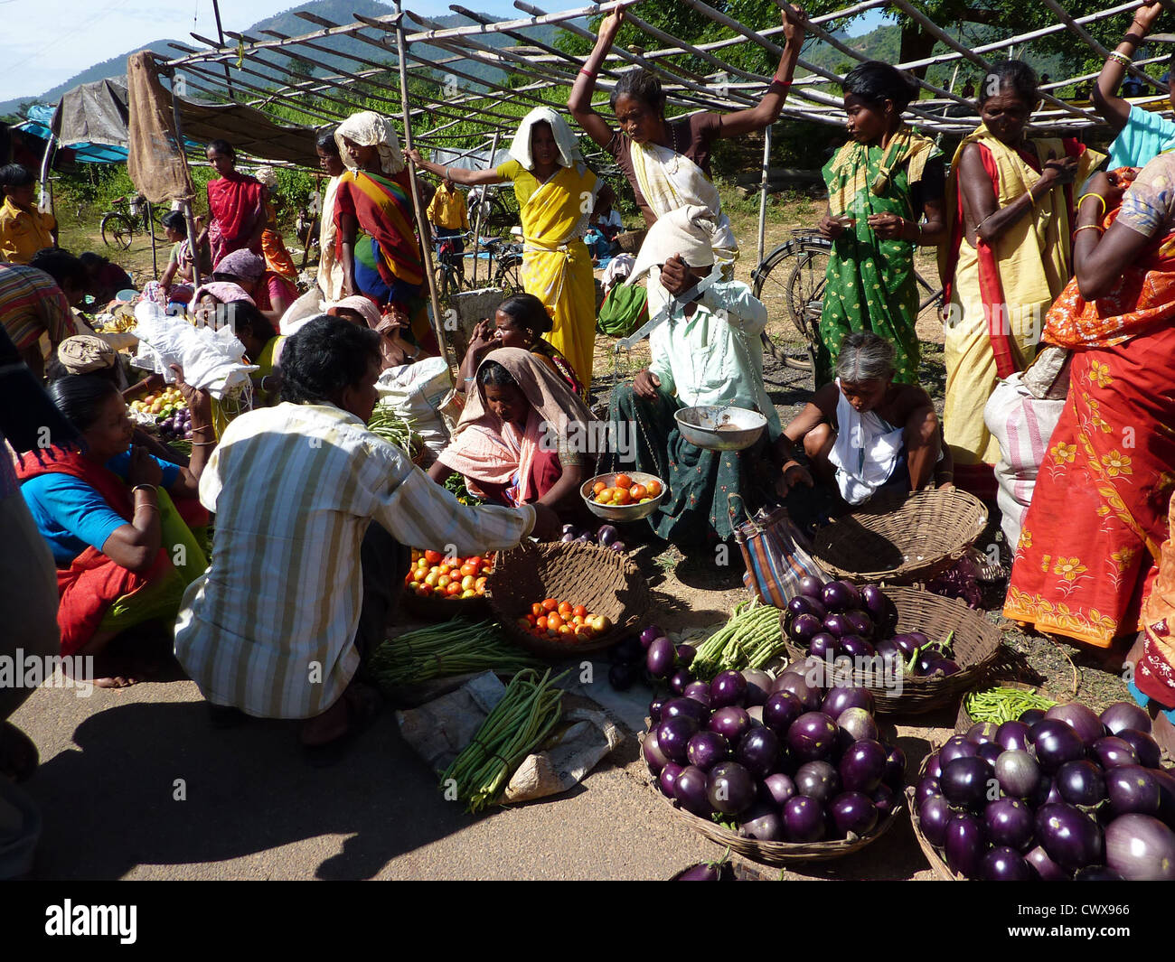 ORISSA, Indien - Nov 11 - Stammes-Frauen verkaufen Gemüse in Wochenmarkt am 1. November 2009 in Orissa in Indien Stockfoto