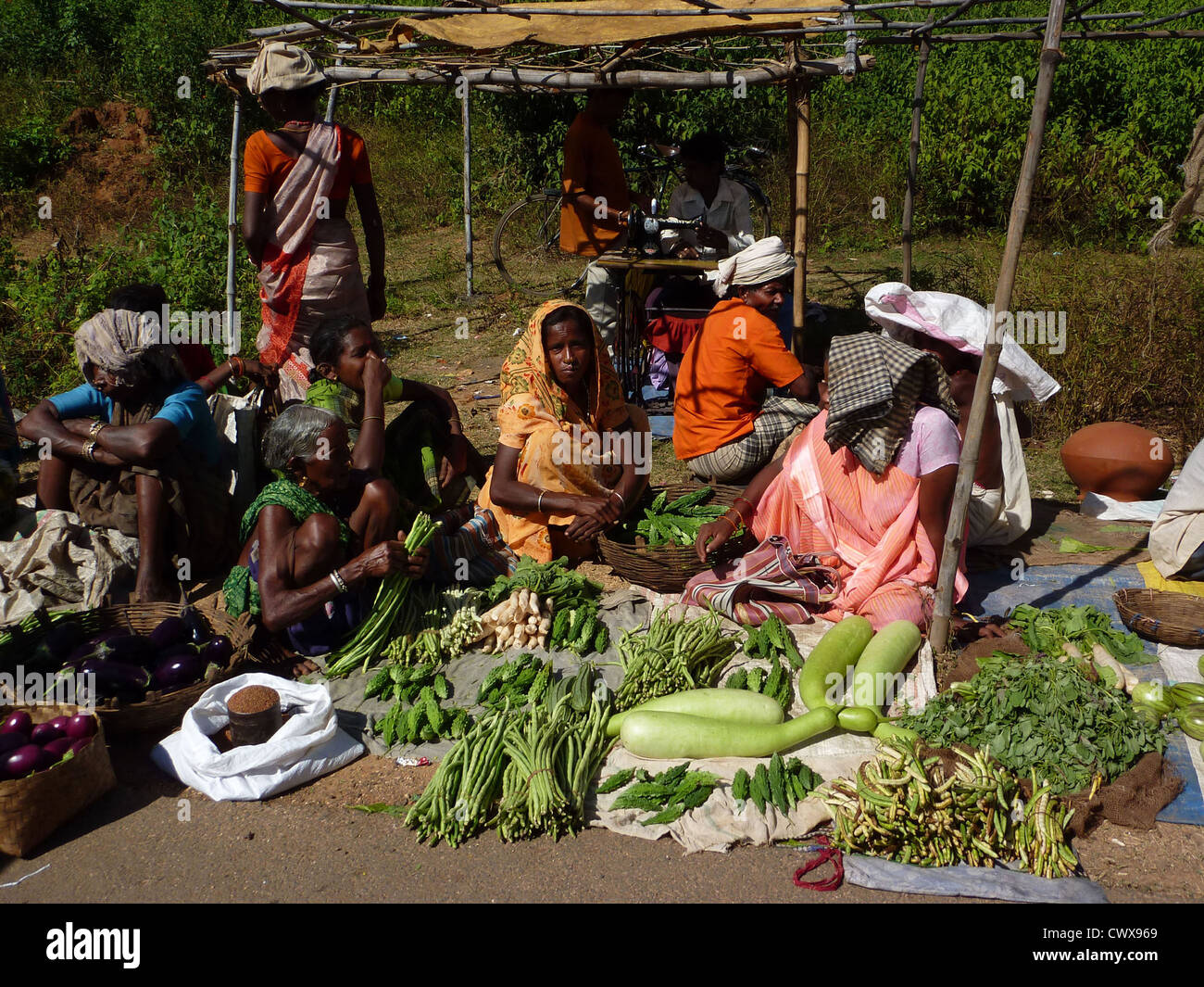 ORISSA, Indien - Nov 11 - Stammes-Frauen verkaufen Gemüse in Wochenmarkt am 1. November 2009 in Orissa in Indien Stockfoto