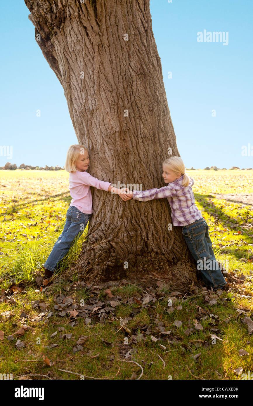 Zwillingsschwestern sind einen Baum umarmen. Stockfoto