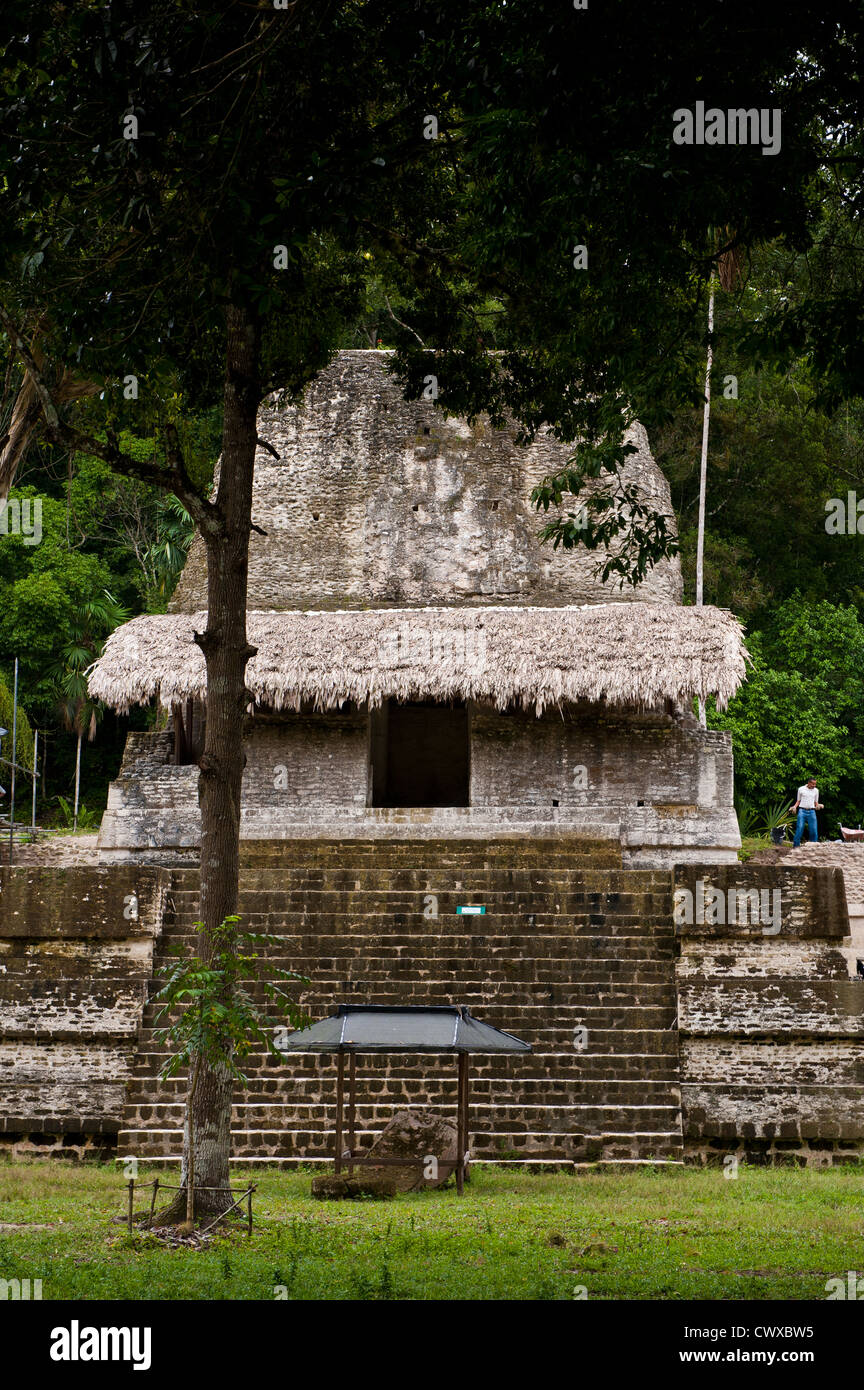 Maya Pyramide Tempelruinen, Tikal National Park, Parque Nacional Tikal, UNESCO-Weltkulturerbe, Guatemala, Mittelamerika. Stockfoto