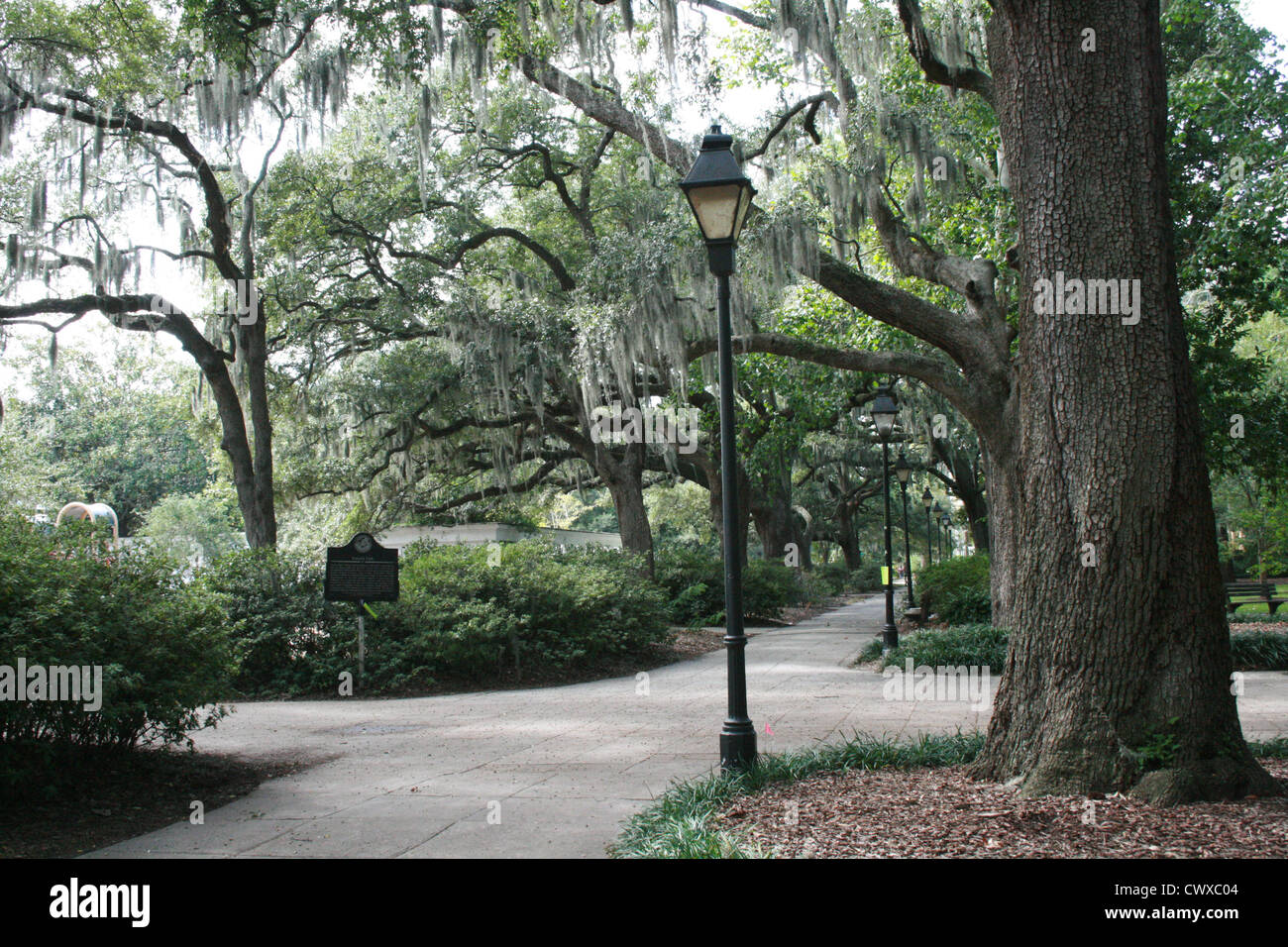 Straße Licht abends Moos Eiche Bäume Savannah Georgia Ga Stockfoto