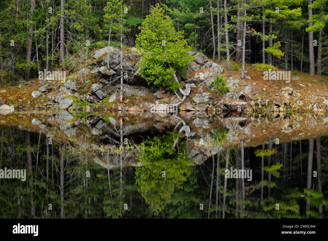 Felsen in Biber Teich reflektiert Greater Sudbury, Ontario, Kanada Stockfoto