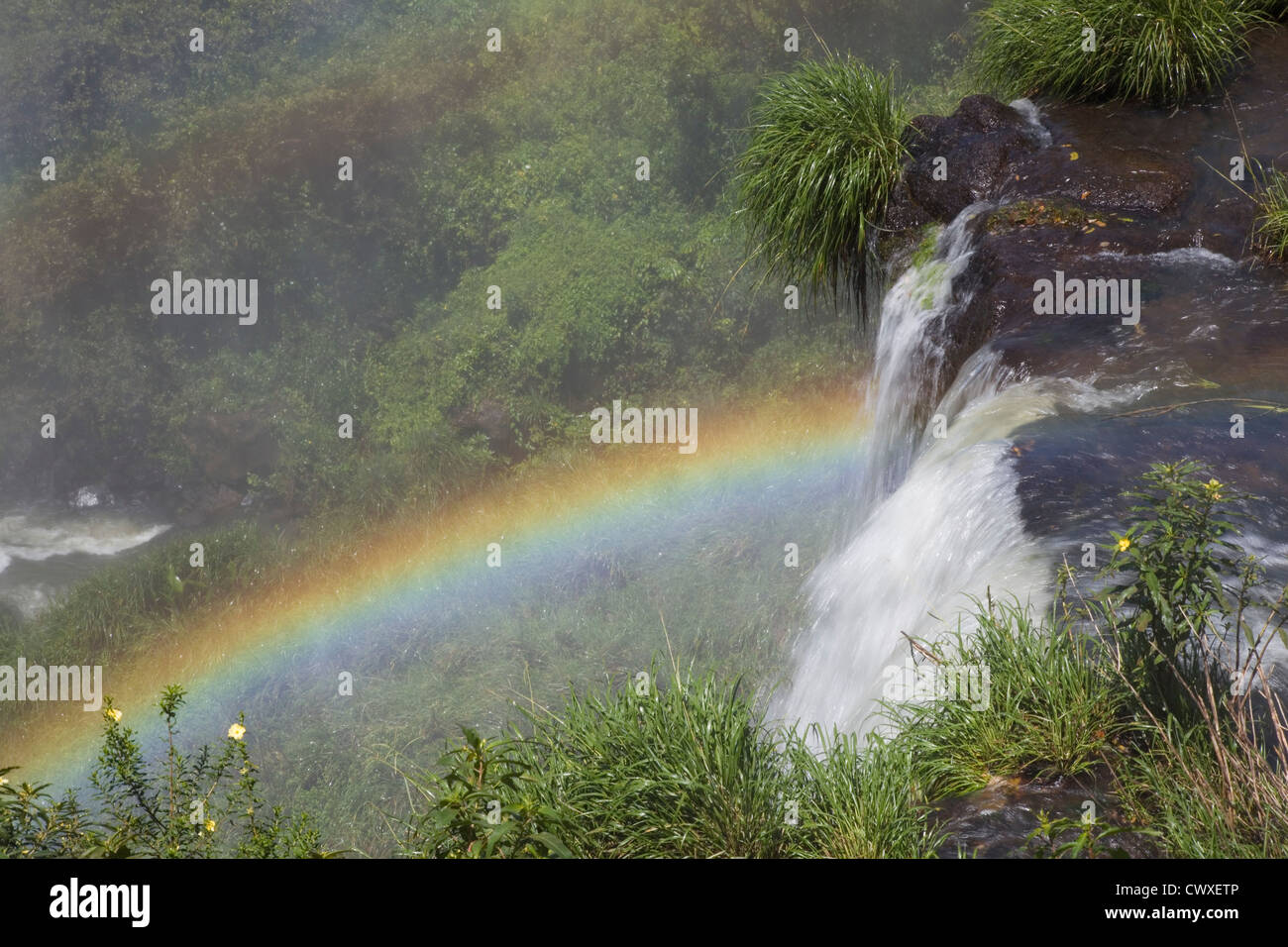 Regenbogen von der Spitze des Iguazu falls, Misiones, Argentinien Stockfoto Regenbogen von der Spitze des Iguazu falls, Misiones, Argentinien Stockfoto