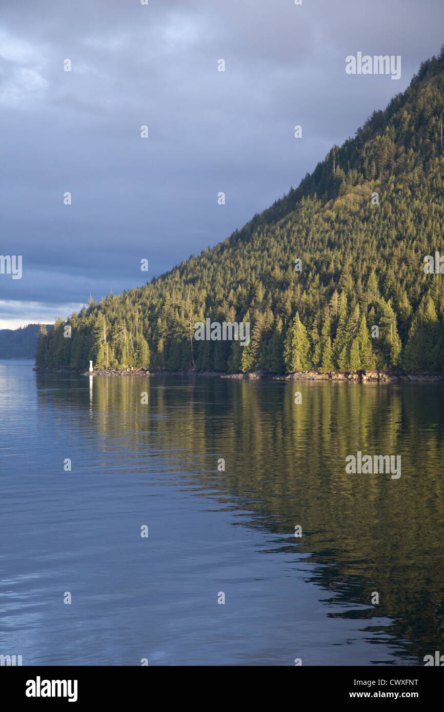 Wald in den Kanal, Königin Charlotte Strait, British Columbia, Kanada Stockfoto