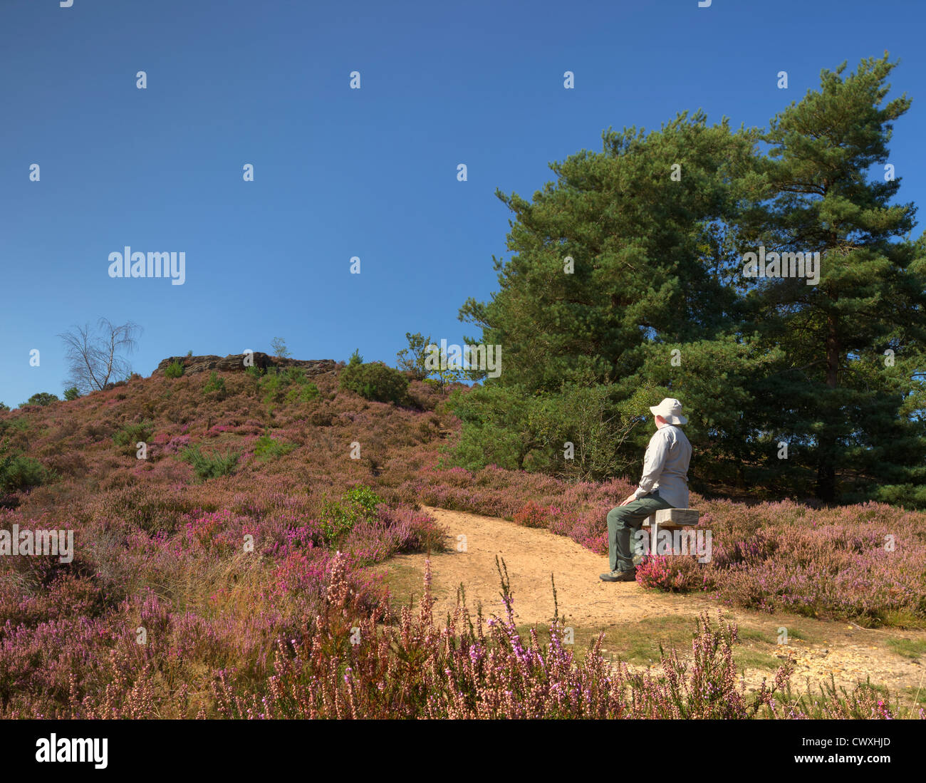 Steinige Sprung, der Teufel Sprünge Frensham. Stockfoto