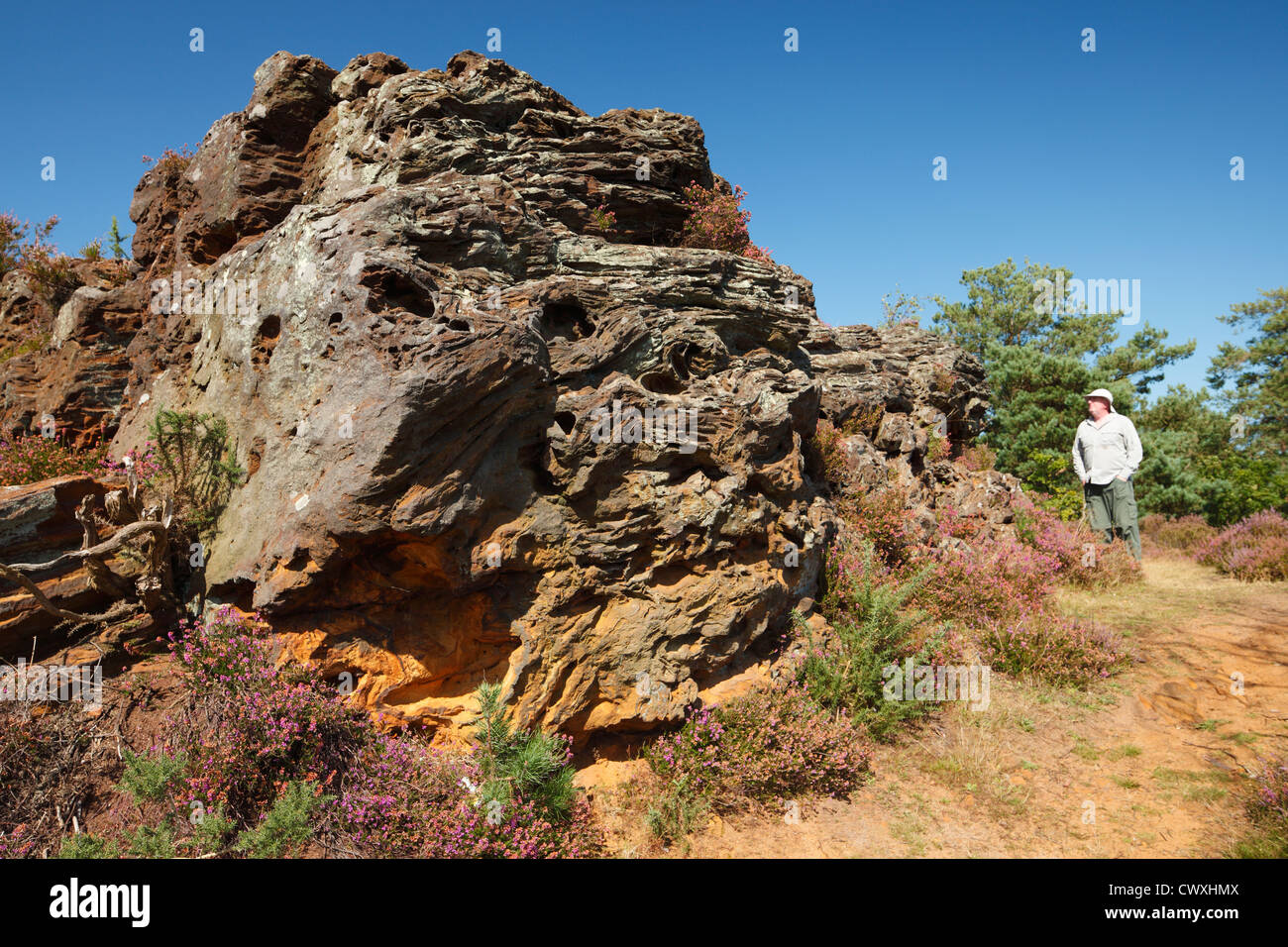 Steinige Sprung, der Teufel Sprünge Frensham. Stockfoto